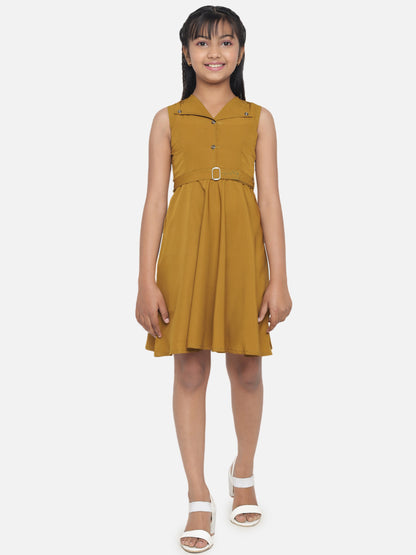 Girl's A-Line Plain Knee Length Short Frock Dress