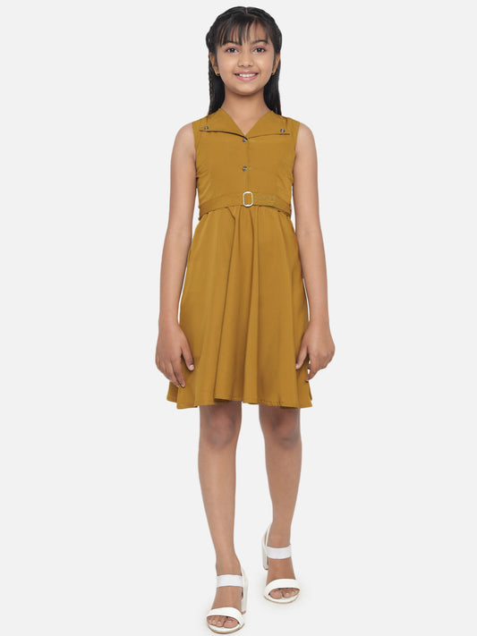 Girl's A-Line Plain Knee Length Short Frock Dress
